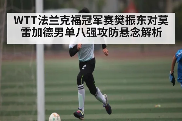 WTT法兰克福冠军赛樊振东对莫雷加德男单八强攻防悬念解析